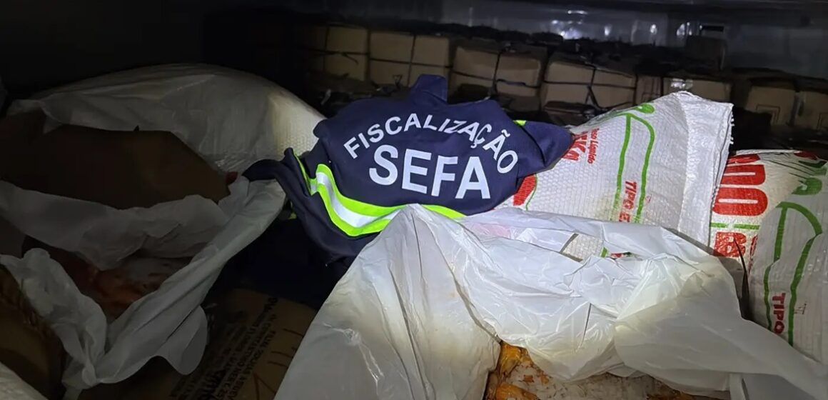 Sefa encontra oito toneladas de camarão escondidas em carga de sal no Pará