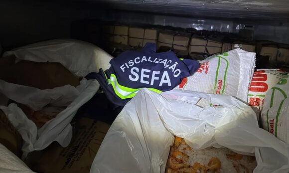 Sefa encontra oito toneladas de camarão escondidas em carga de sal no Pará