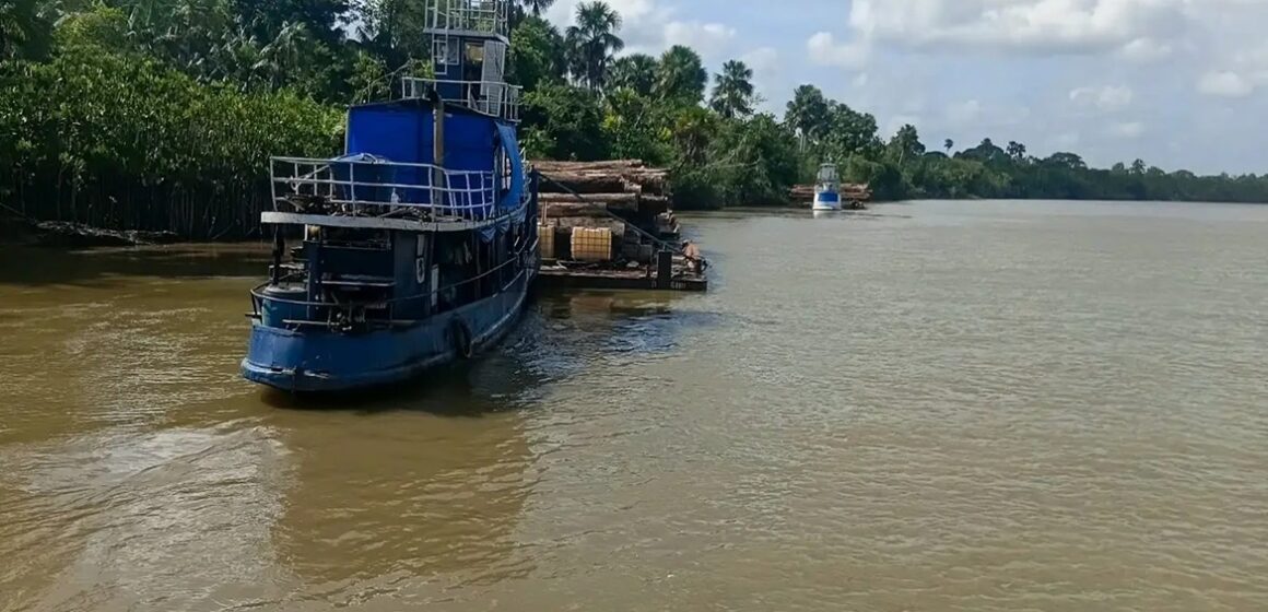 Pará apreende madeira transportada ilegalmente no Baixo Tocantins