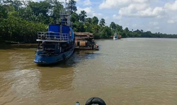 Pará apreende madeira transportada ilegalmente no Baixo Tocantins