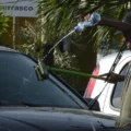 Trabalho infantil no Brasil recua 9,2% de 2024 para 2025, mas ainda atinge 1,5 milhão de crianças e adolescentes, aponta IBGE