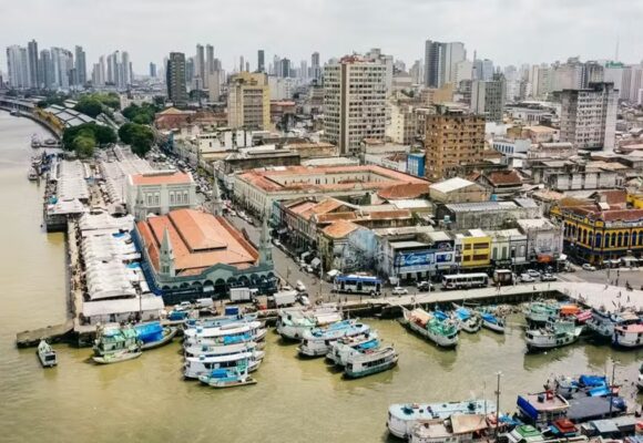 Morcego com diagnóstico positivo para raiva é identificado no Jurunas, em Belém