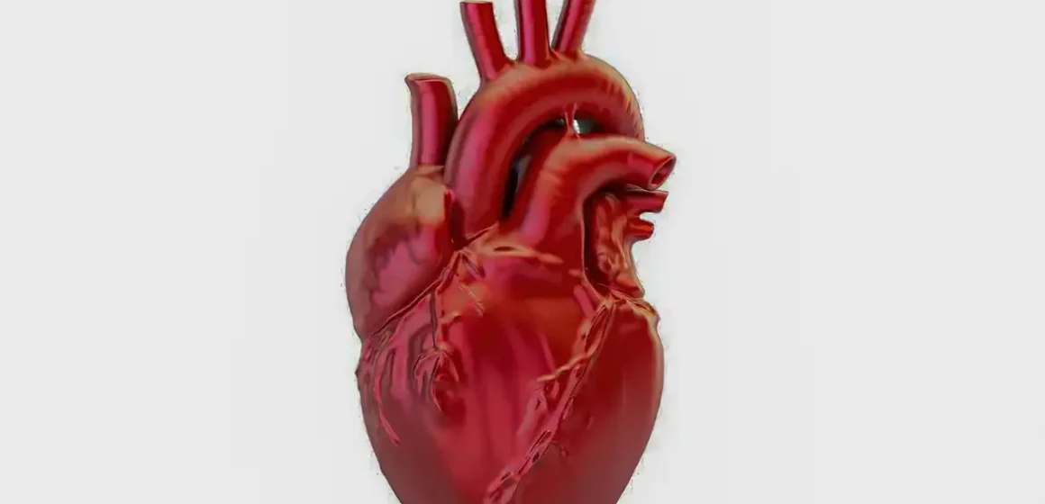A cada 72 segundos, uma pessoa morre por doença cardiovascular no Brasil; óbitos chegam a 318.945 em 2026