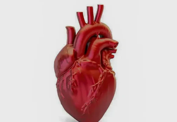 A cada 72 segundos, uma pessoa morre por doença cardiovascular no Brasil; óbitos chegam a 318.945 em 2026