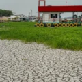 Campanha arrecada alimentos para afetados por seca no Amazonas